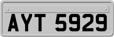 AYT5929