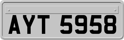 AYT5958