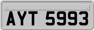 AYT5993