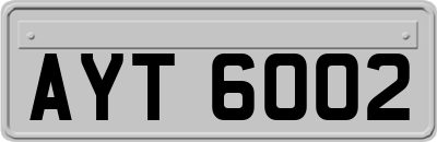 AYT6002