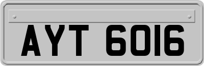 AYT6016