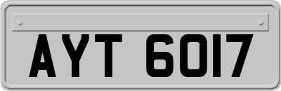 AYT6017