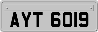 AYT6019