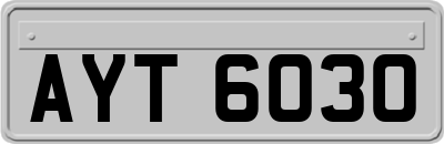 AYT6030