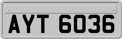 AYT6036