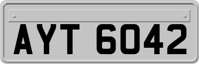 AYT6042