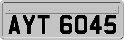AYT6045