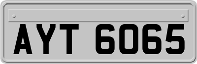 AYT6065