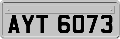 AYT6073