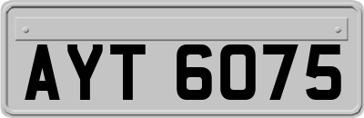 AYT6075