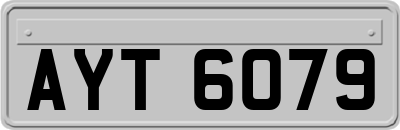 AYT6079
