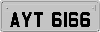 AYT6166