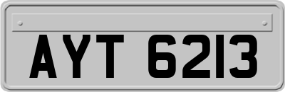 AYT6213