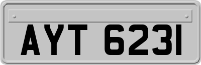 AYT6231