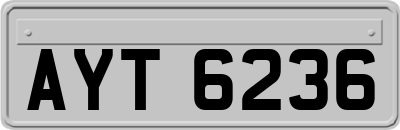 AYT6236