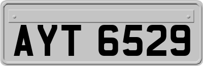 AYT6529