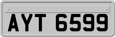 AYT6599