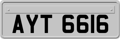 AYT6616
