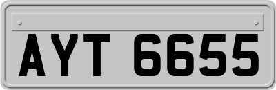 AYT6655