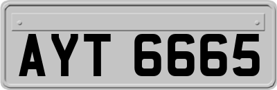 AYT6665