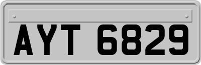 AYT6829