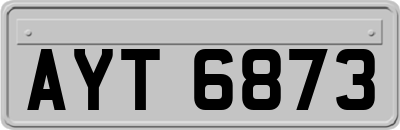 AYT6873