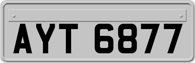 AYT6877