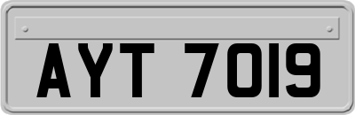 AYT7019