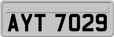 AYT7029