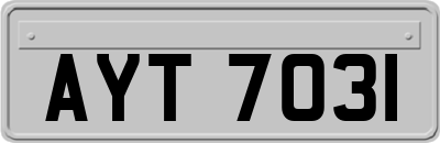 AYT7031