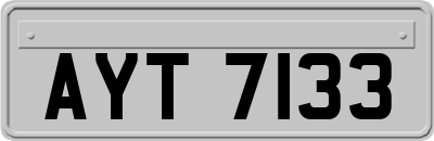 AYT7133