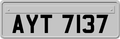 AYT7137