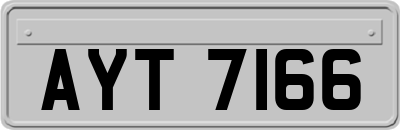 AYT7166