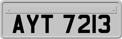 AYT7213
