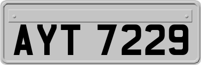 AYT7229