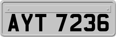AYT7236