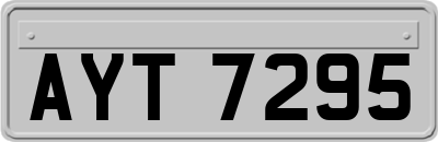 AYT7295