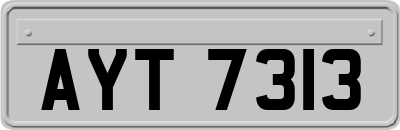 AYT7313