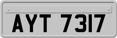 AYT7317