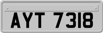 AYT7318