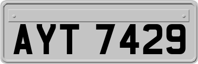 AYT7429