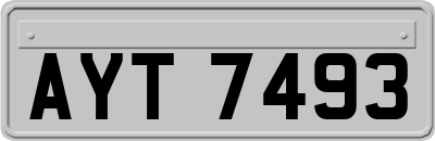 AYT7493