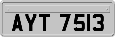 AYT7513