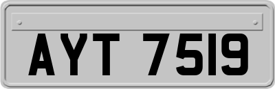 AYT7519