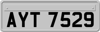 AYT7529