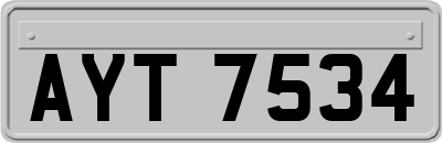 AYT7534