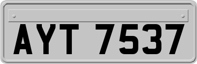 AYT7537