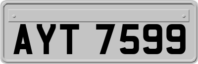 AYT7599