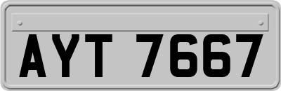 AYT7667