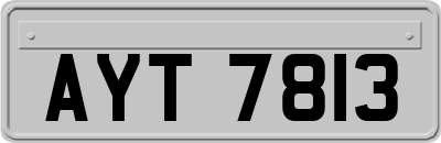 AYT7813